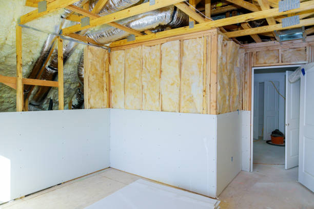 Types of Insulation We Offer in Gunter, TX